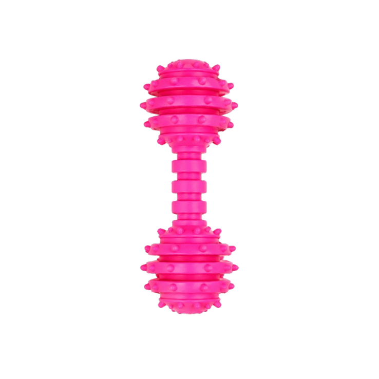 Dumbbell Chew Toy