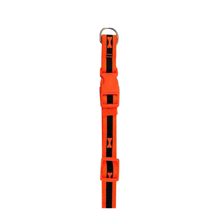 High Visibility Dog Collar