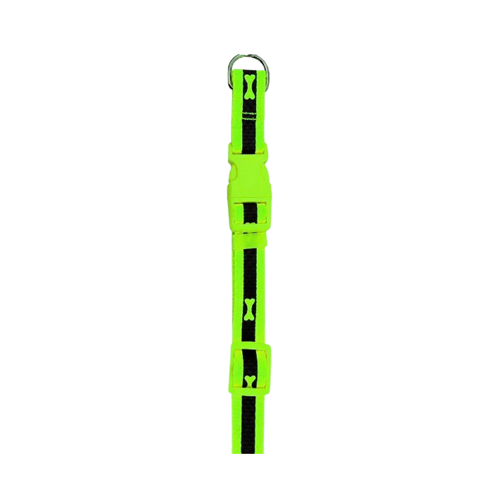 High Visibility Dog Collar