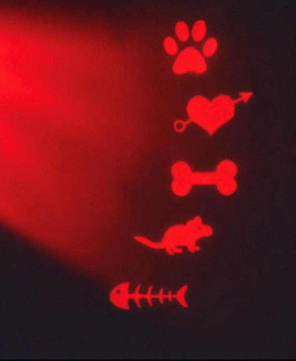 Laser Pointer Cat Toy