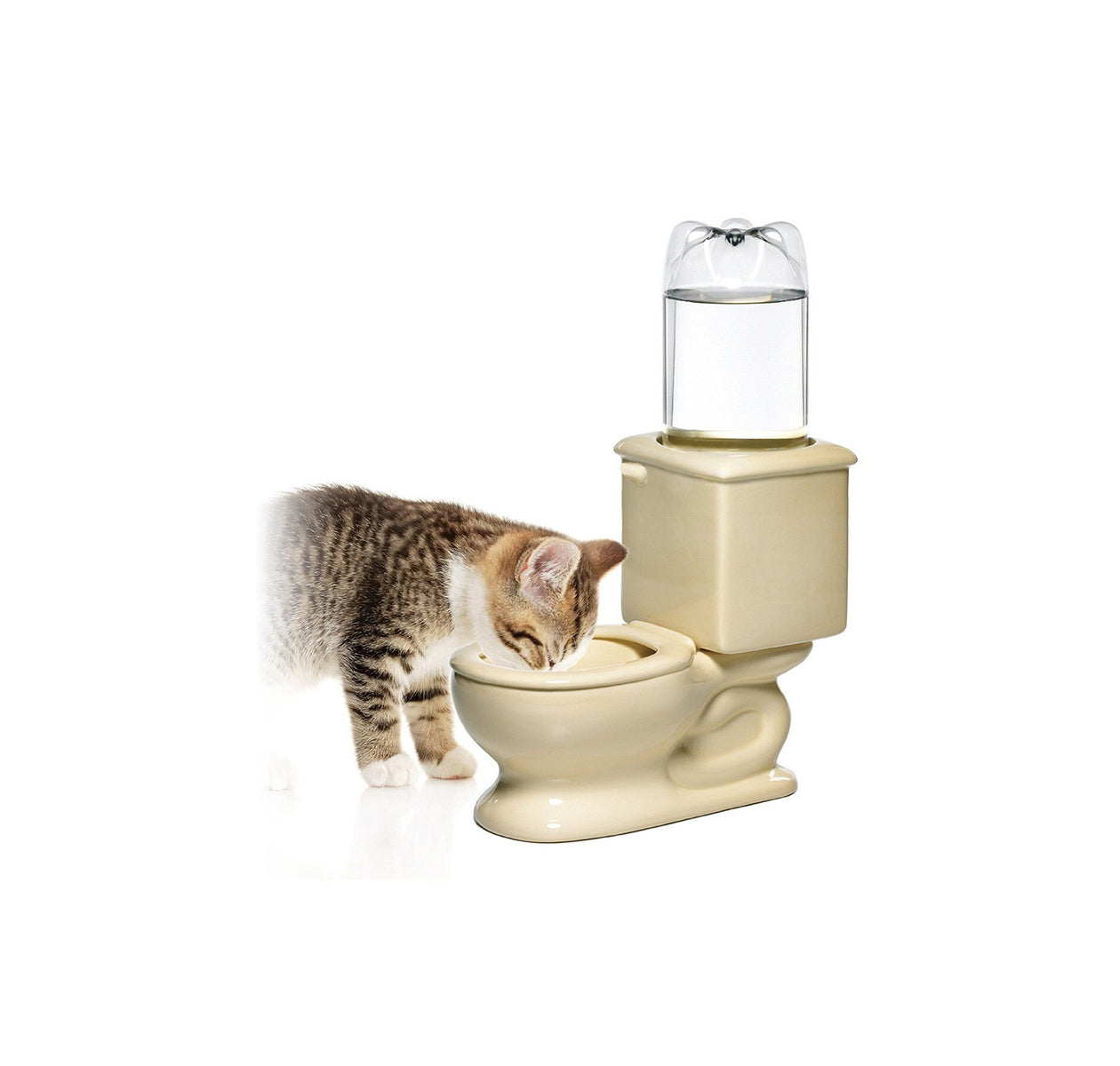 A bowls & feeders