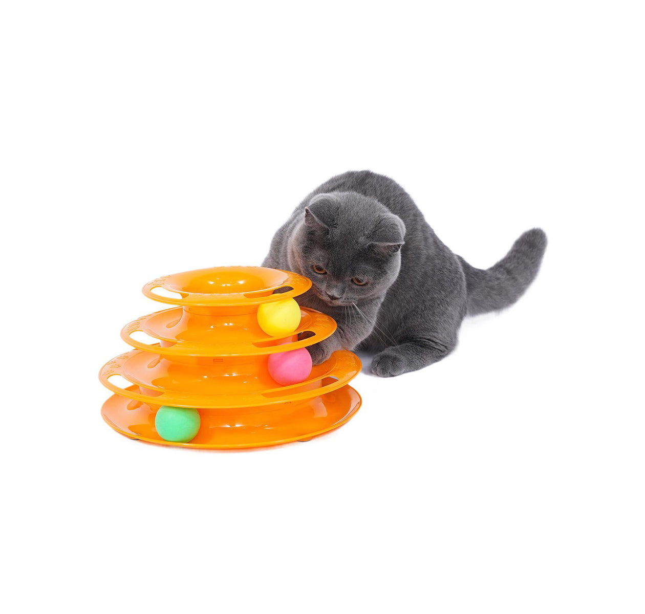 A bowls & feeders