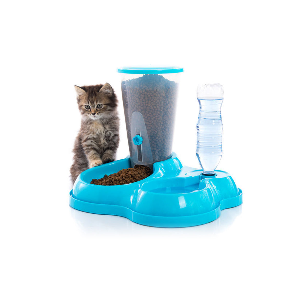 A bowls & feeders
