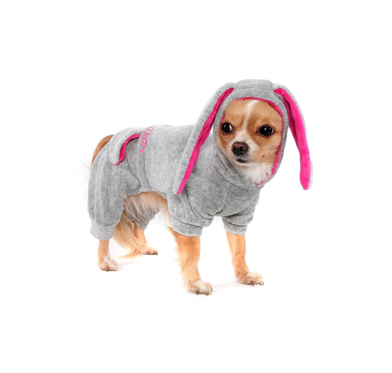 Cat for clothing