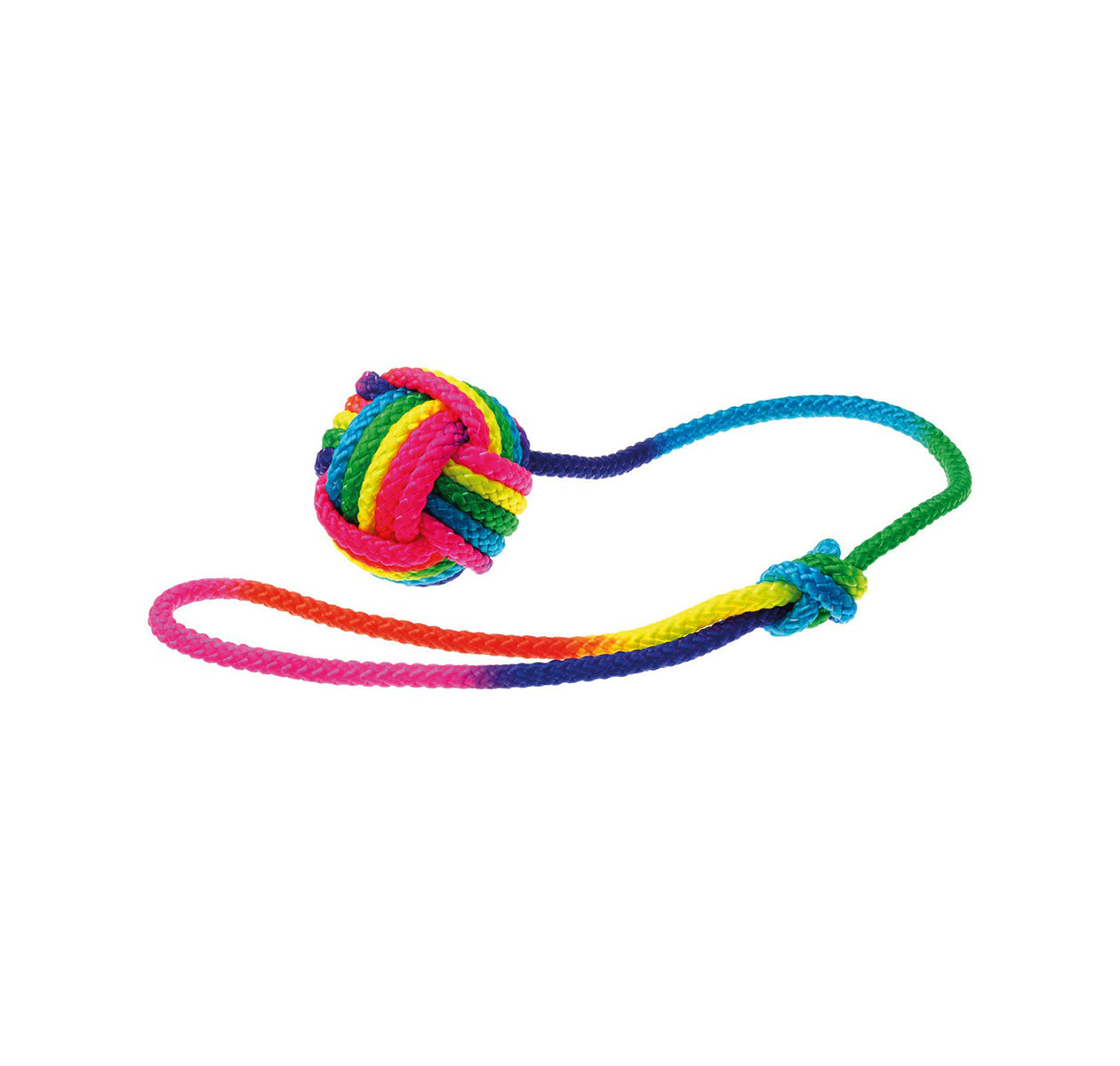 Every toys puppy