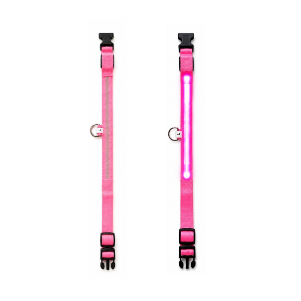 LED Lighted Safety Collar