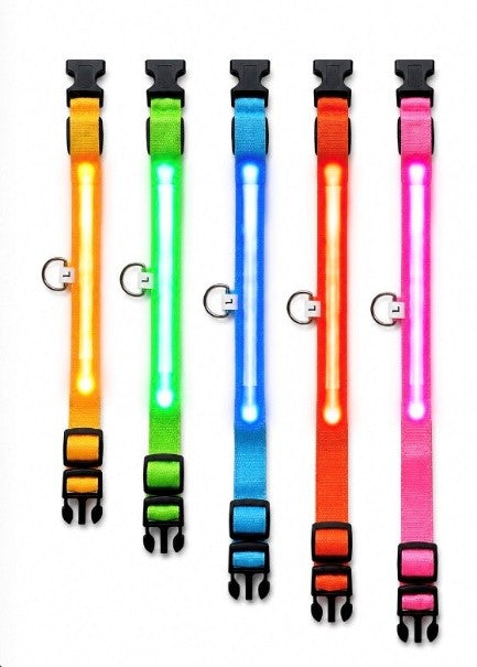 LED Lighted Safety Collar