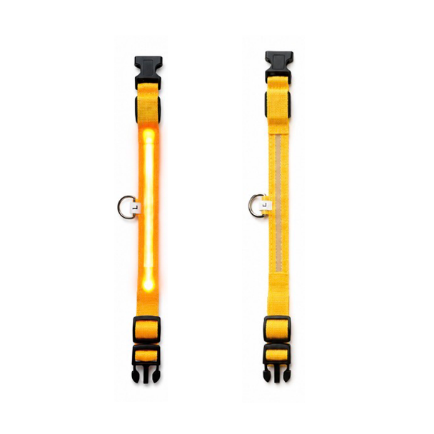 LED Lighted Safety Collar