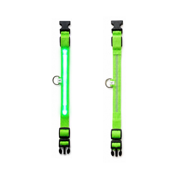 LED Lighted Safety Collar