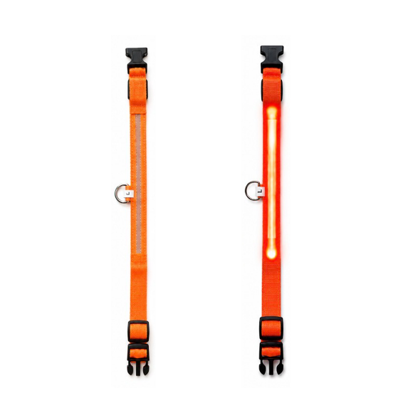 LED Lighted Safety Collar