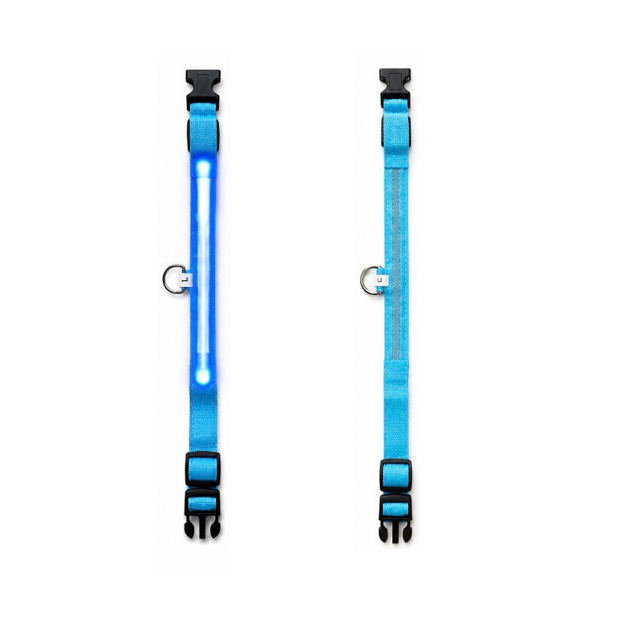 LED Lighted Safety Collar